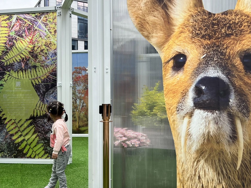 Yuhua Pop up Park China by SUYI Design Group