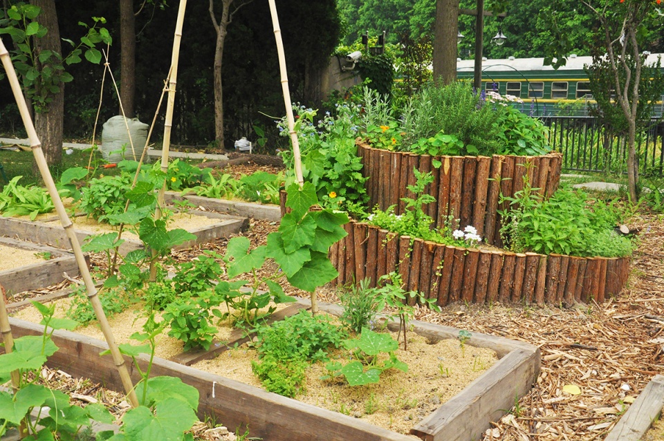 rumble community garden liu yuelai