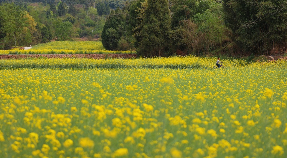 Rural Revitalization of Gaohuai Village in Deyang LJ Design Limited
