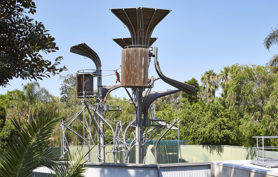 perth zoo orang utan exhibit by iredale pedersen hook