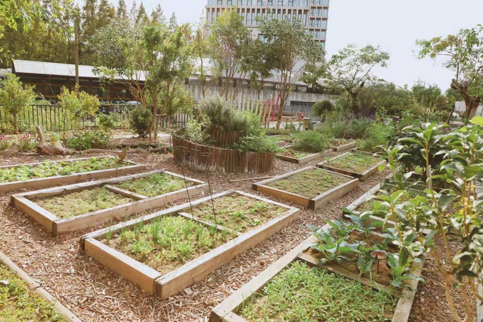 rumble community garden liu yuelai