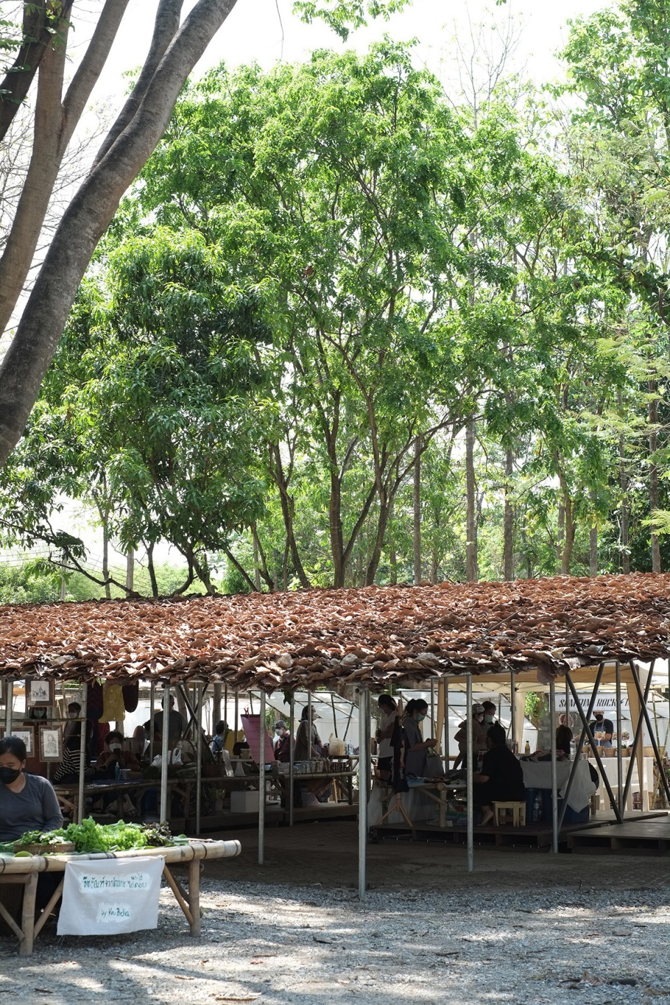 folly in the forest by bangkok tokyo architecture
