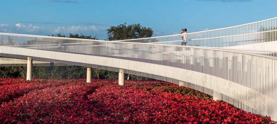 Meihekou Romantic Flower Sea MILAND DESIGN