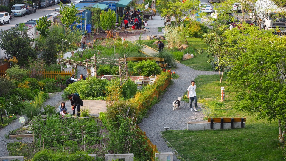 rumble community garden liu yuelai