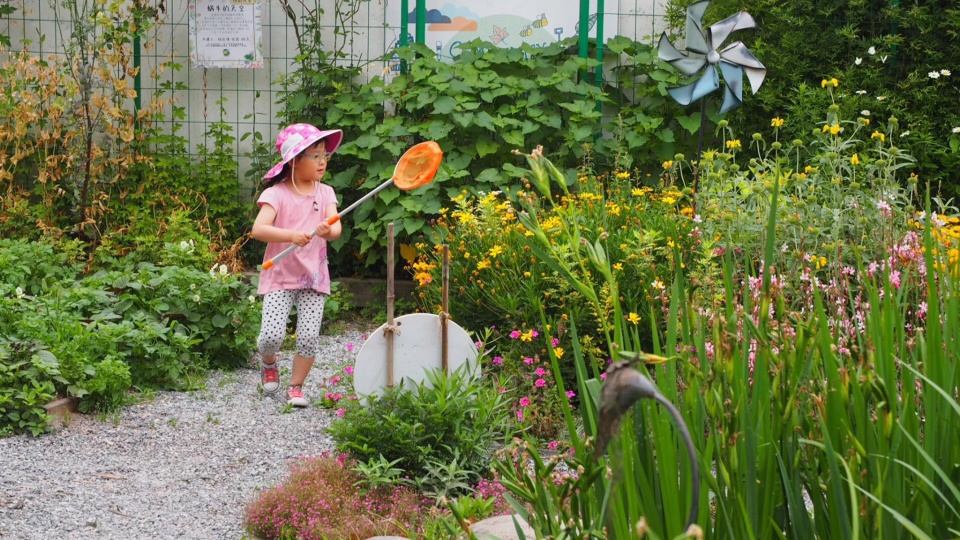 rumble community garden liu yuelai