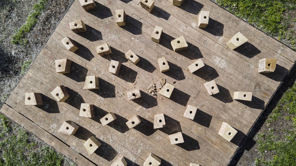 exculpatio by nomad global rd cemex