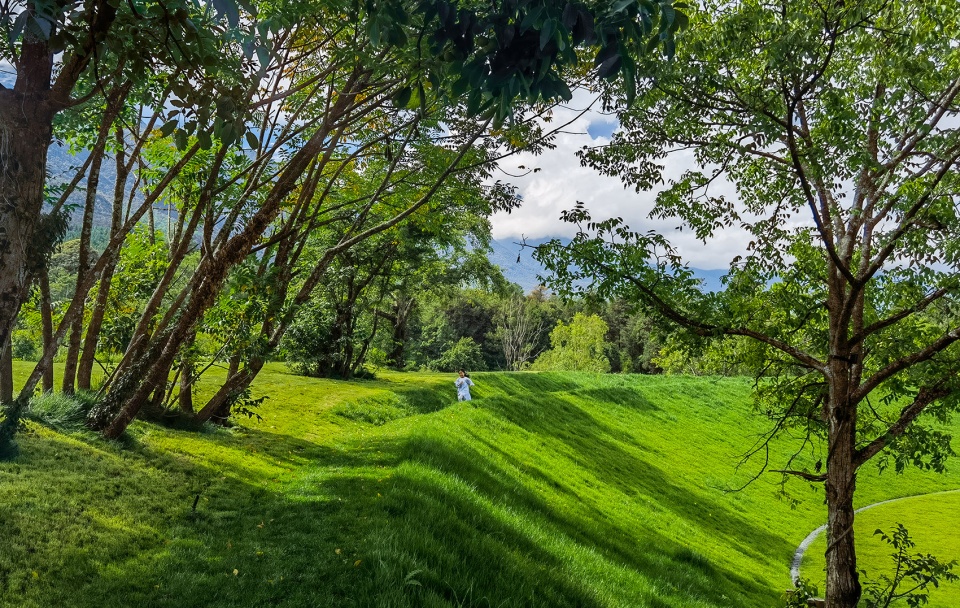 Wilderness Garden and Amphitheater Zscape