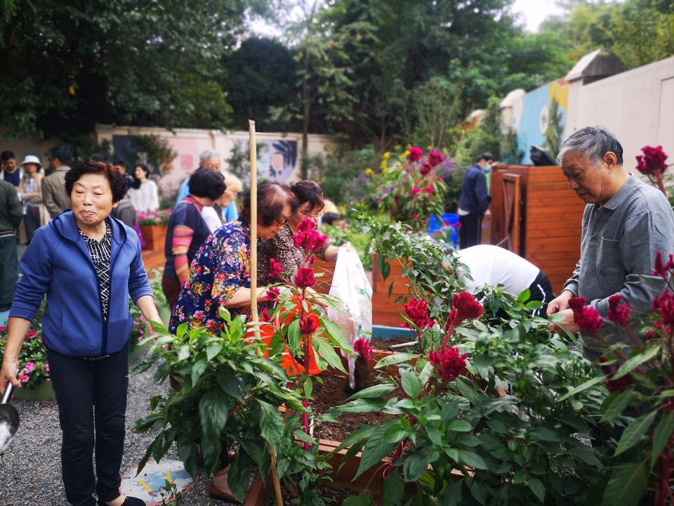 rumble community garden liu yuelai