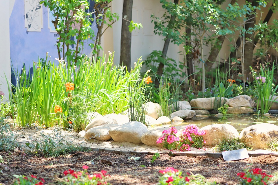 rumble community garden liu yuelai