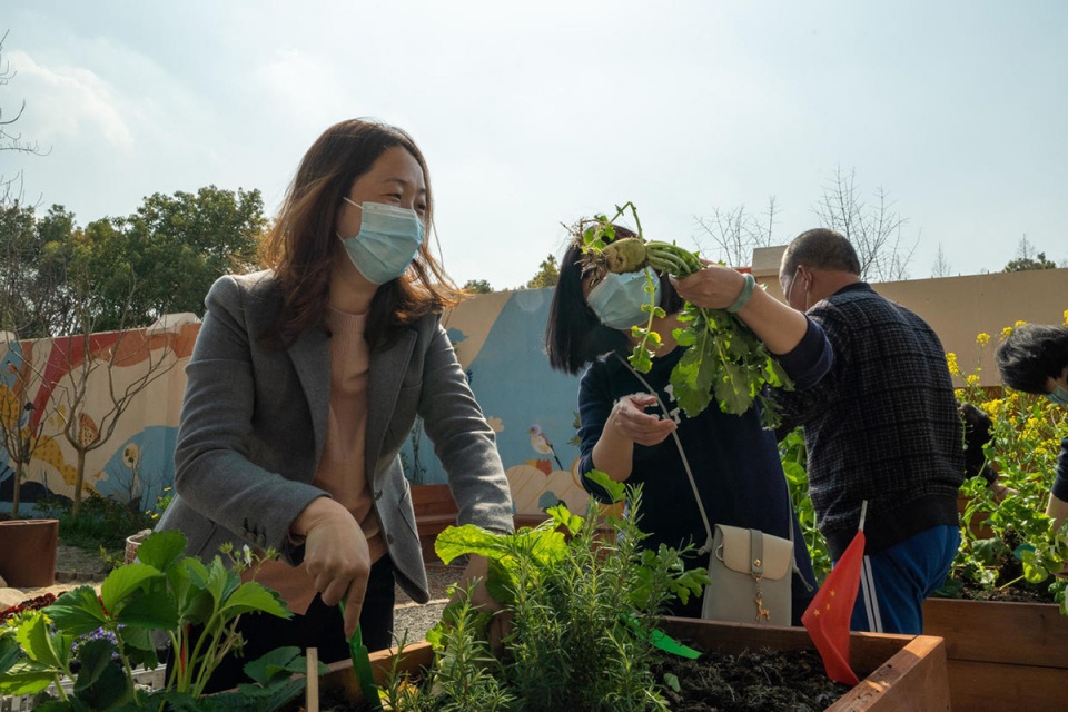 rumble community garden liu yuelai