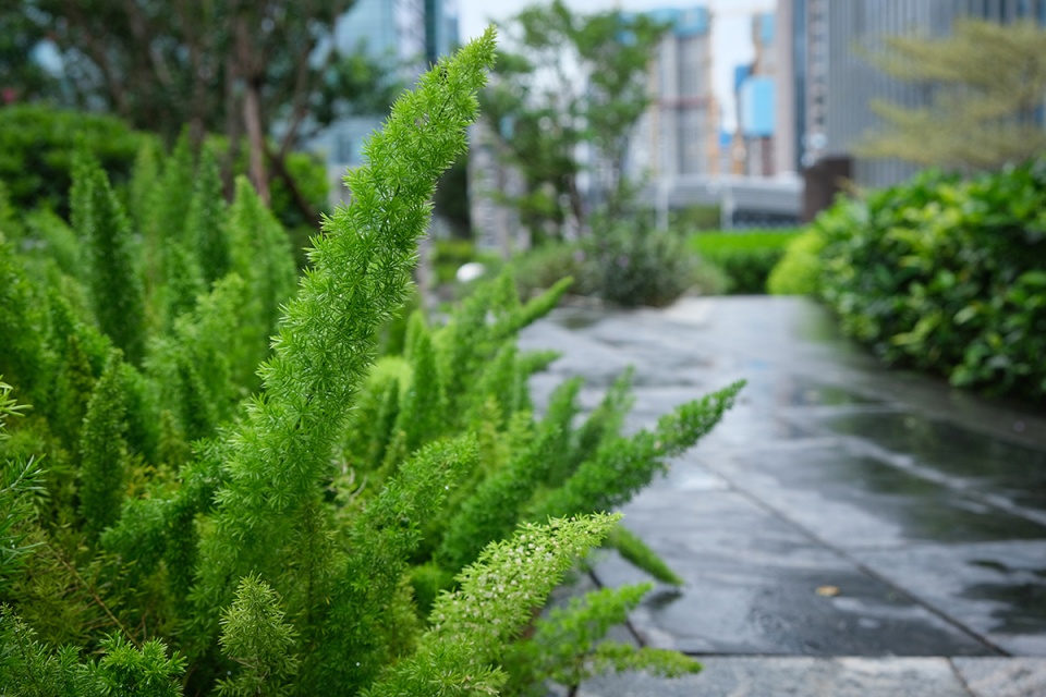shenzhen shuibei jewelry art garden by loopstudio