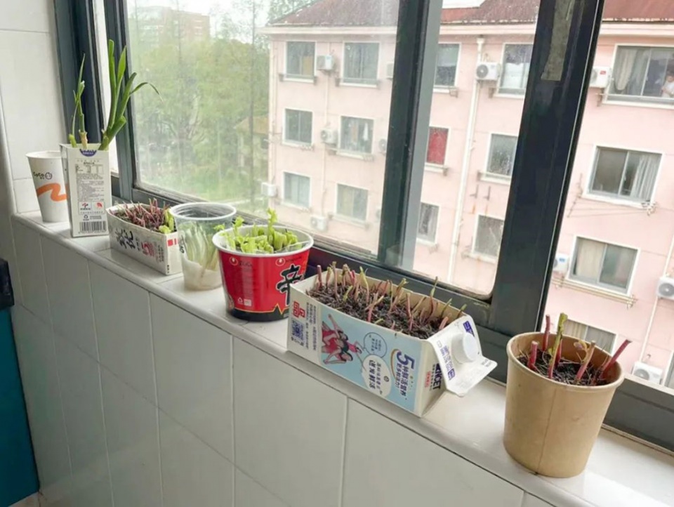 rumble community garden liu yuelai