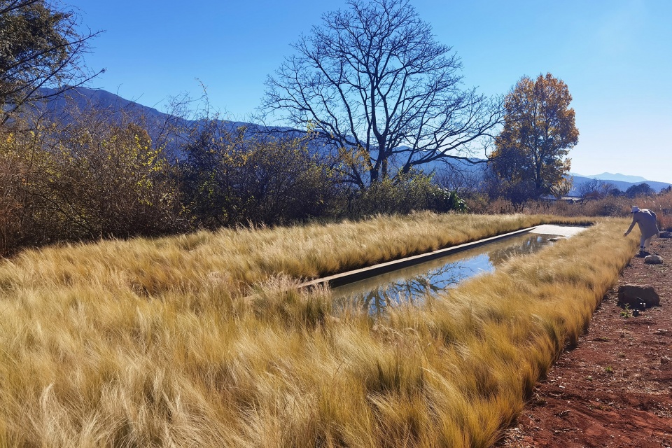 Wilderness Garden and Amphitheater Zscape