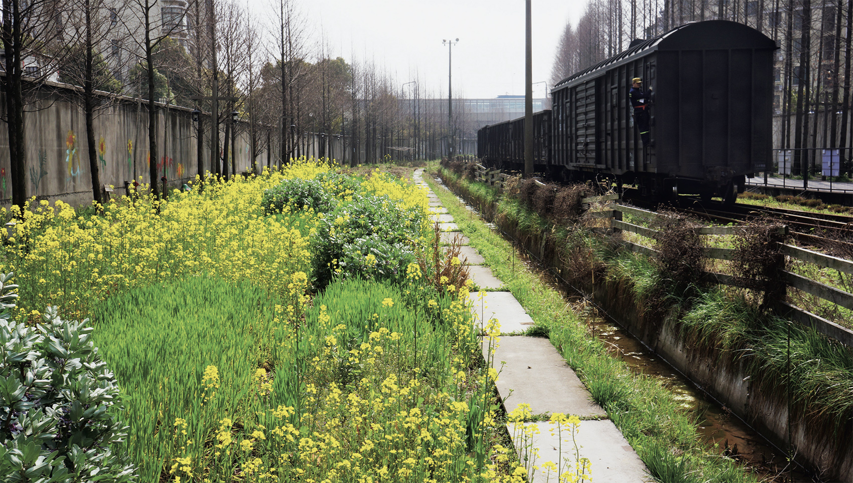 rumble community garden liu yuelai