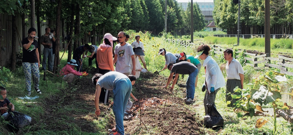 rumble community garden liu yuelai