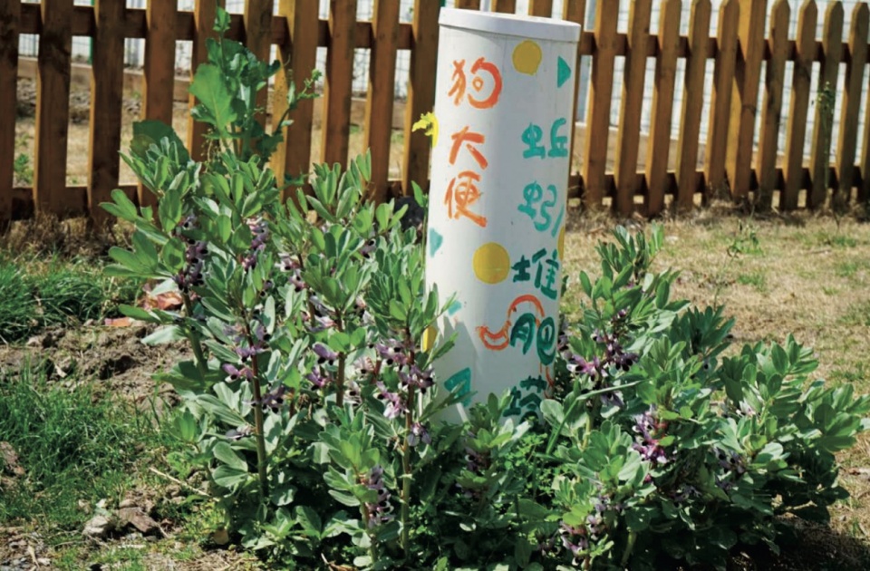 rumble community garden liu yuelai