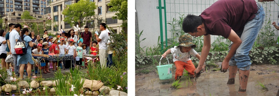 rumble community garden liu yuelai