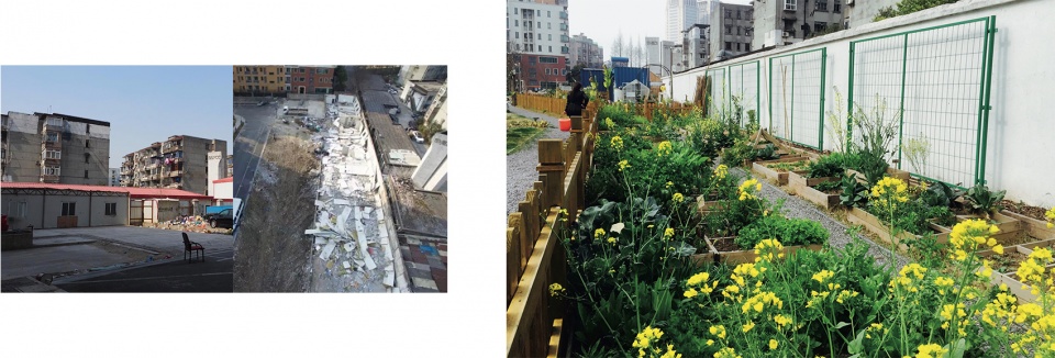 rumble community garden liu yuelai