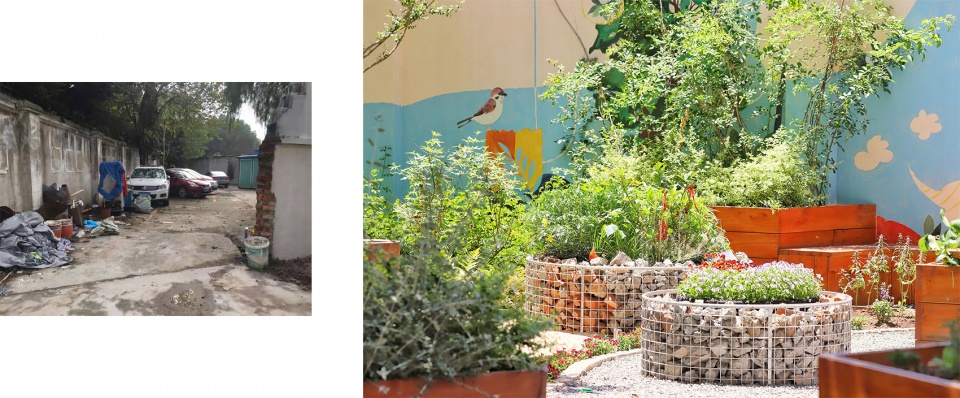 rumble community garden liu yuelai