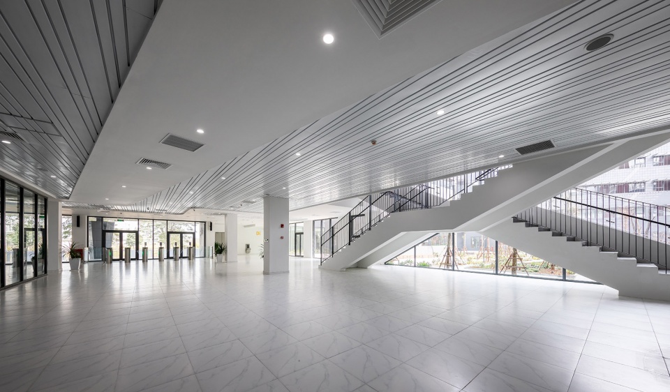 The Dewey Schools 112 Architects
