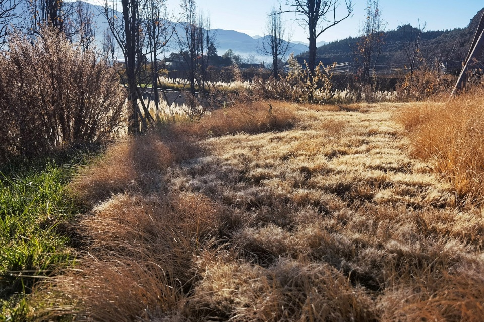 Wilderness Garden and Amphitheater Zscape
