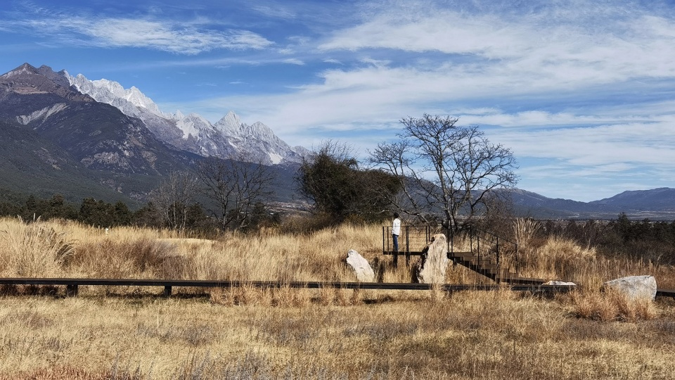 Wilderness Garden and Amphitheater Zscape