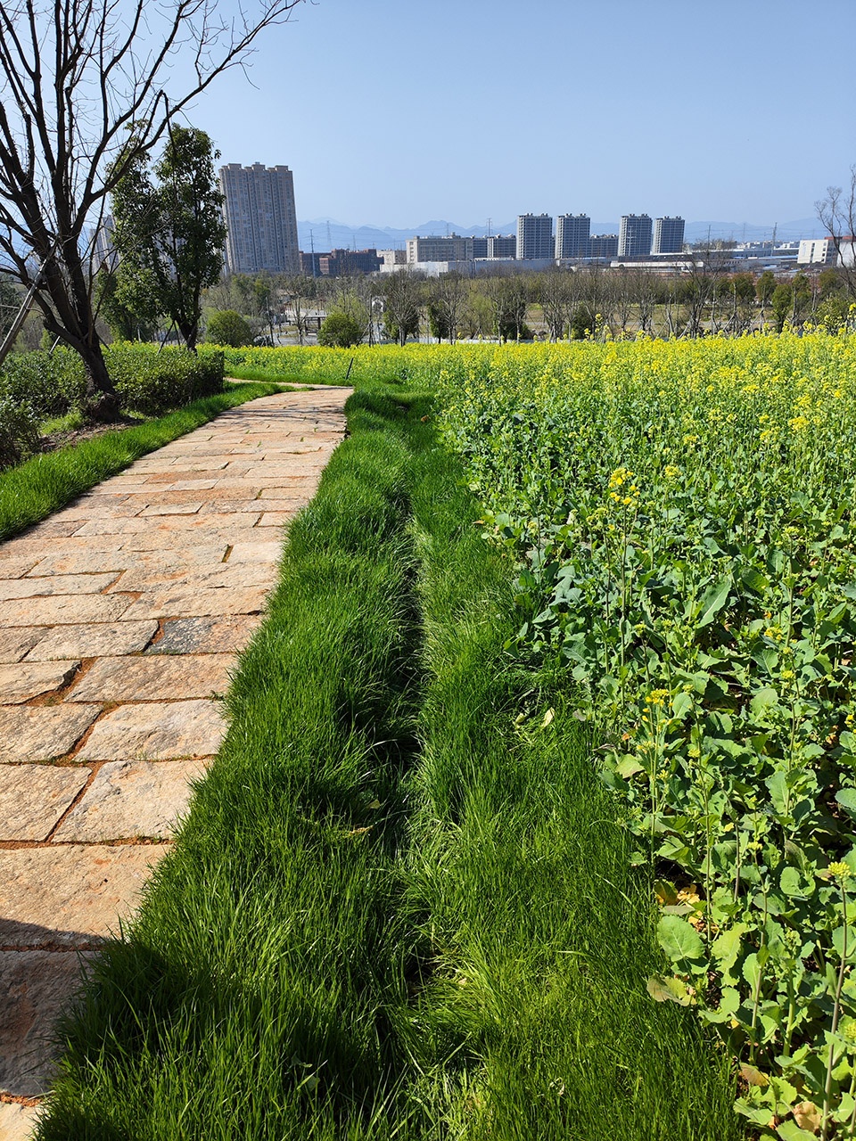 huhaitang park reconstruction project china by cccc fhdiengineering co ltd shanghai chidi studio
