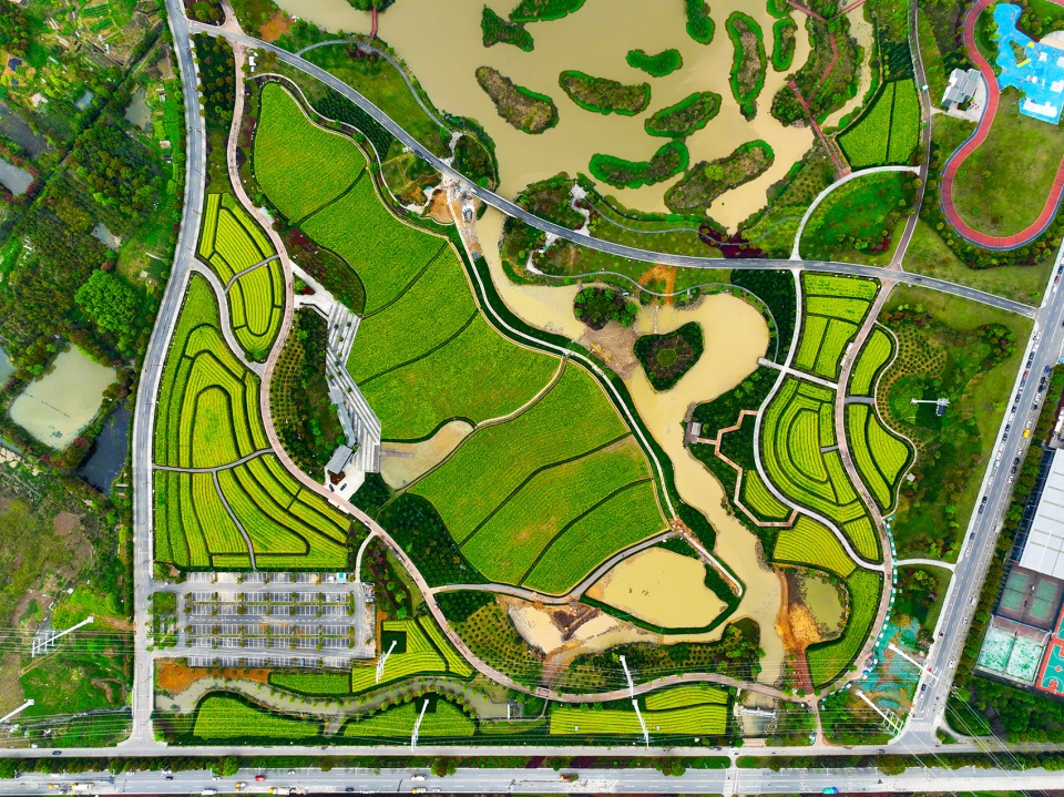 huhaitang park reconstruction project china by cccc fhdiengineering co ltd shanghai chidi studio