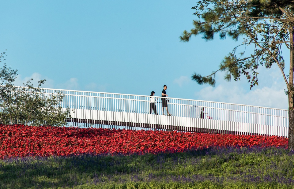 Meihekou Romantic Flower Sea MILAND DESIGN