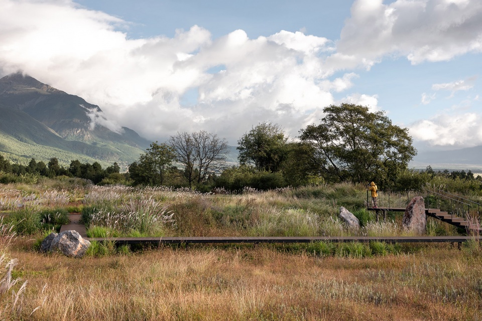Wilderness Garden and Amphitheater Zscape