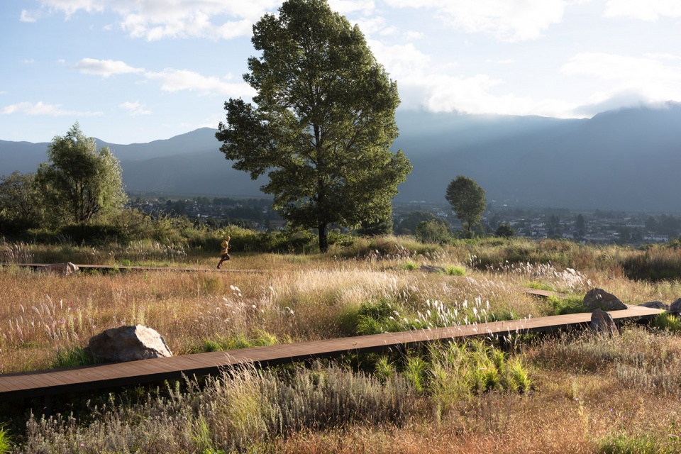 Wilderness Garden and Amphitheater Zscape