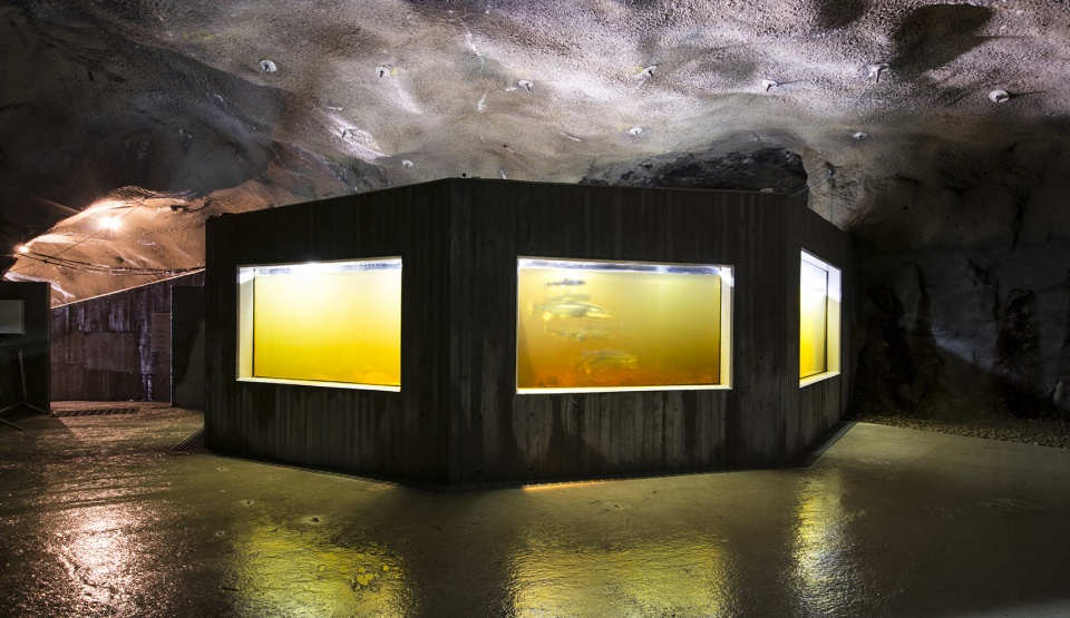 Kvasfossen Rever Drage Architects