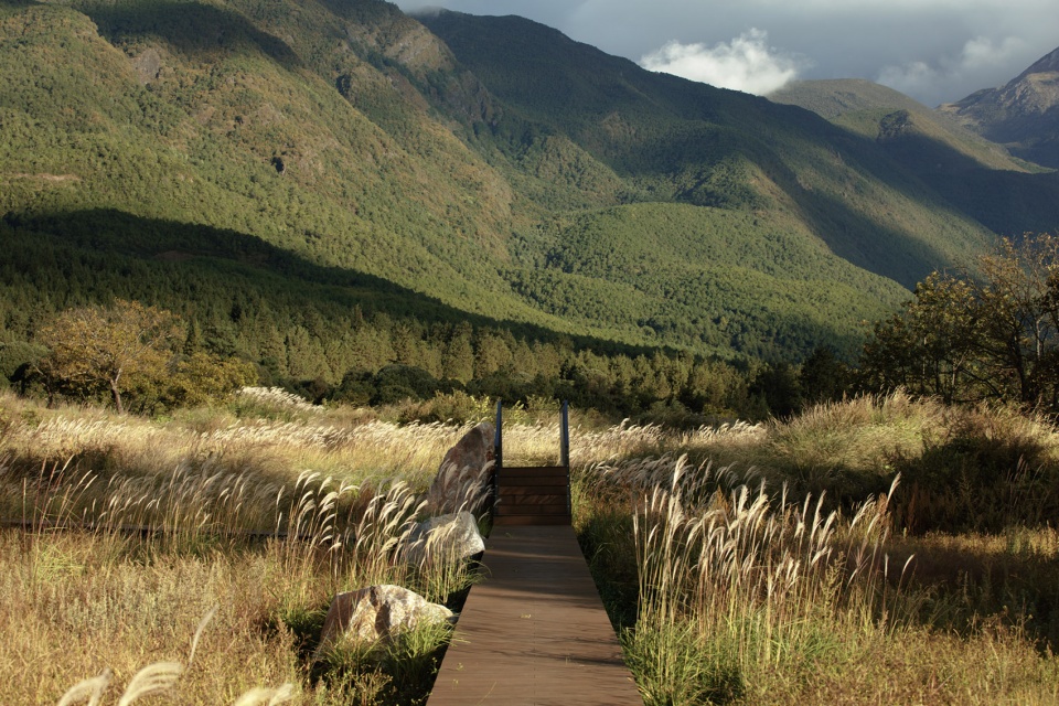 Wilderness Garden and Amphitheater Zscape