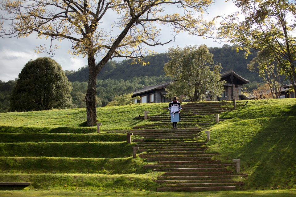 Wilderness Garden and Amphitheater Zscape