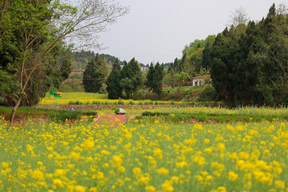 Rural Revitalization of Gaohuai Village in Deyang LJ Design Limited