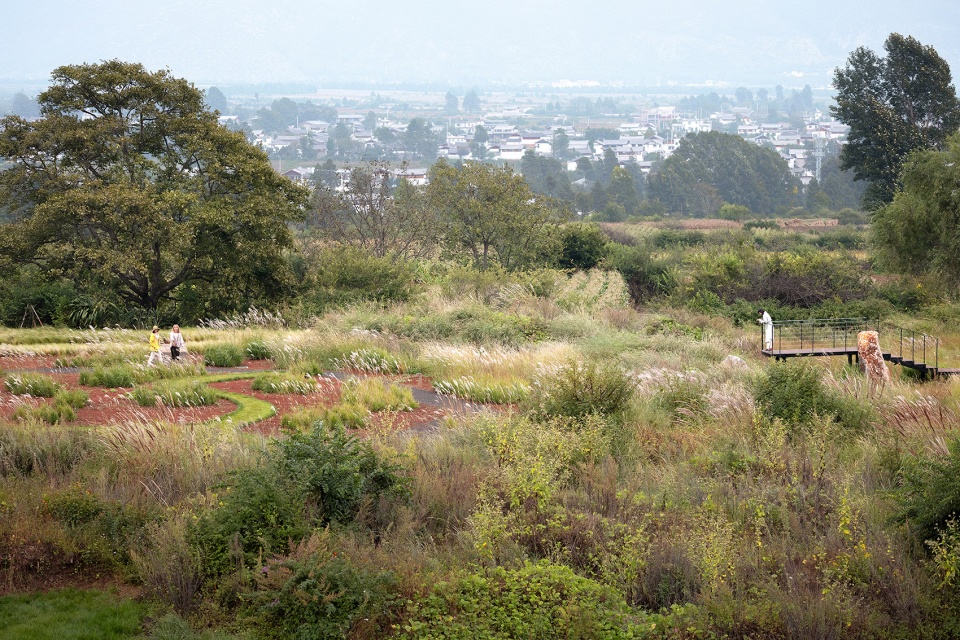 Wilderness Garden and Amphitheater Zscape