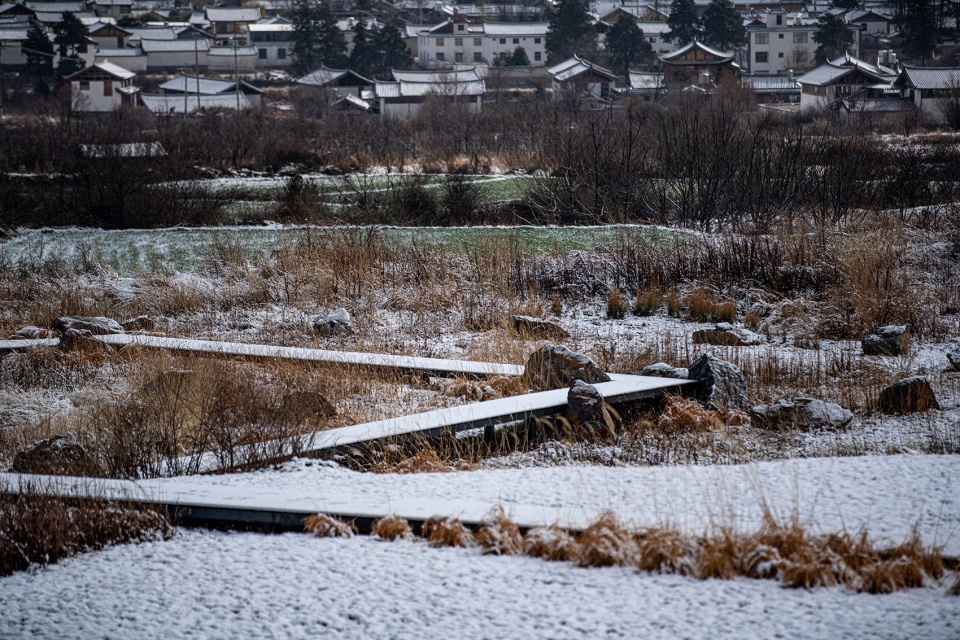 Wilderness Garden and Amphitheater Zscape