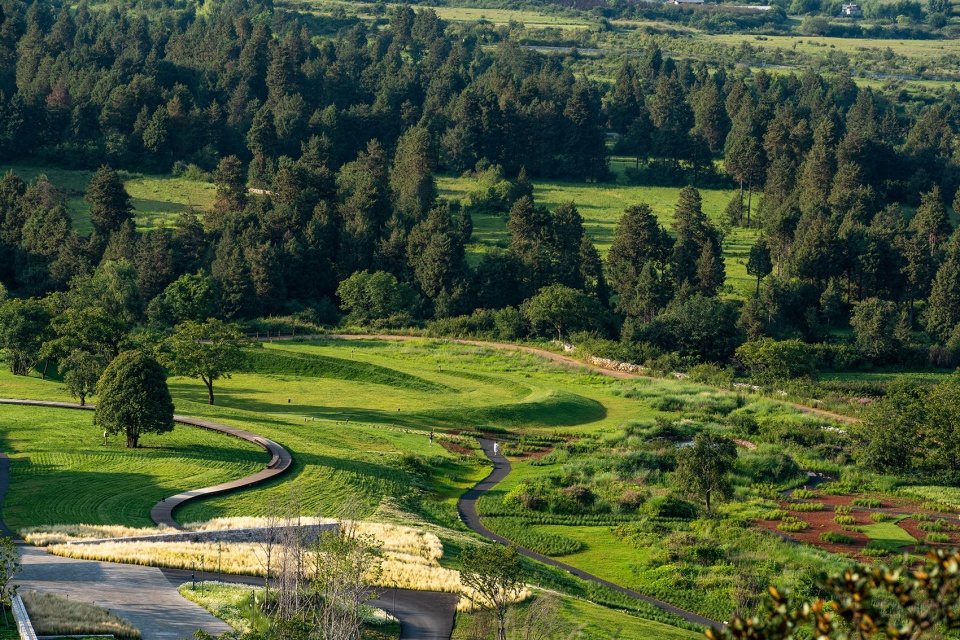 Wilderness Garden and Amphitheater Zscape