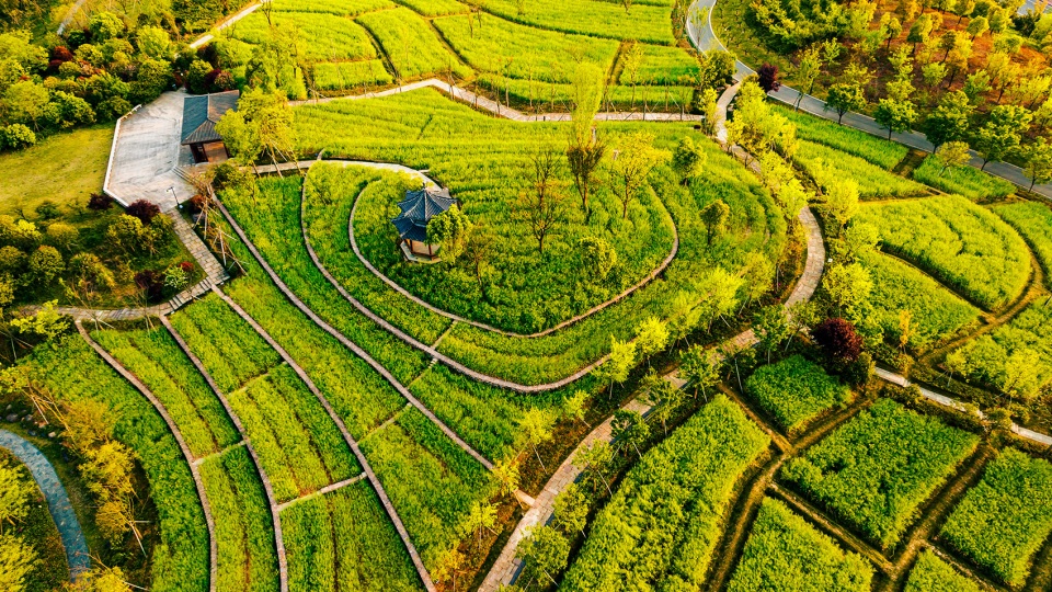 huhaitang park reconstruction project china by cccc fhdiengineering co ltd shanghai chidi studio