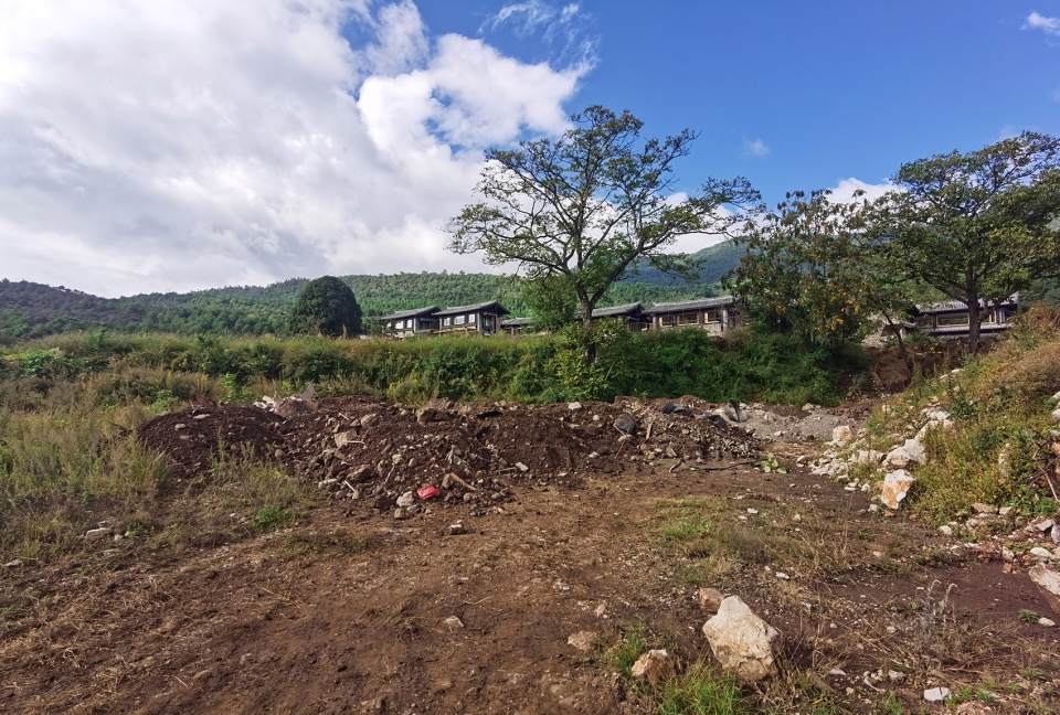 Wilderness Garden and Amphitheater Zscape