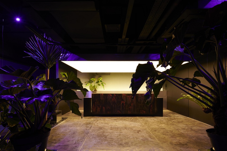 hidden by rad ar