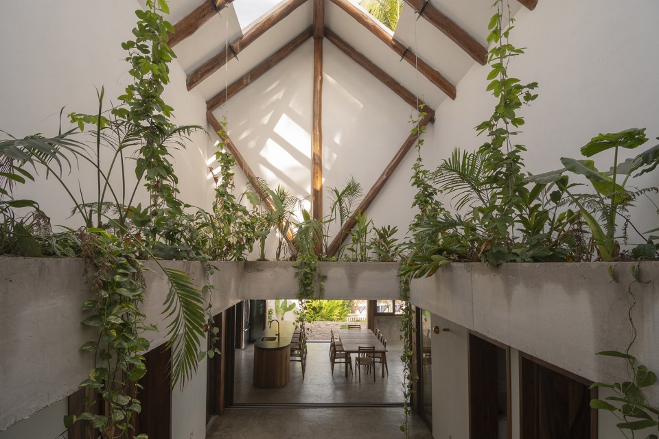 House Mirlo by Palma