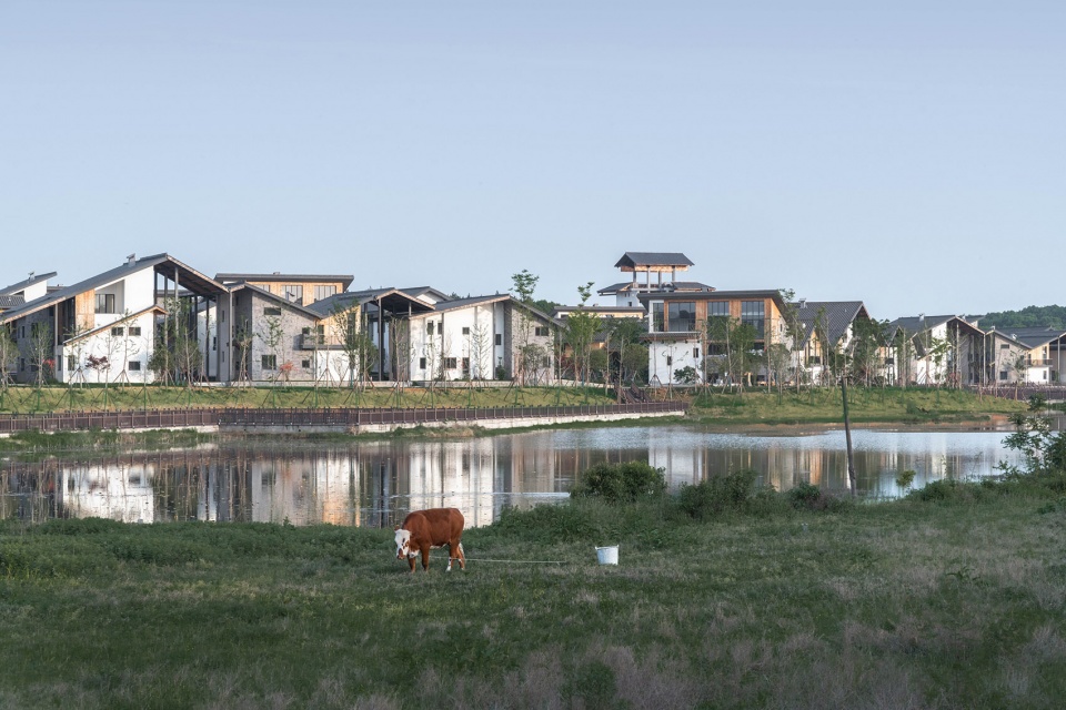 mi luo cityduan wu communityvillager relocating project by zaozuo architecture studio