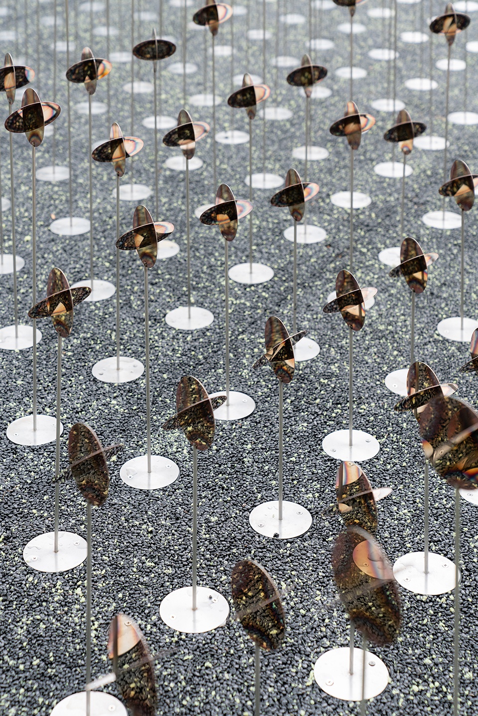 scenic rockery china by napp studio