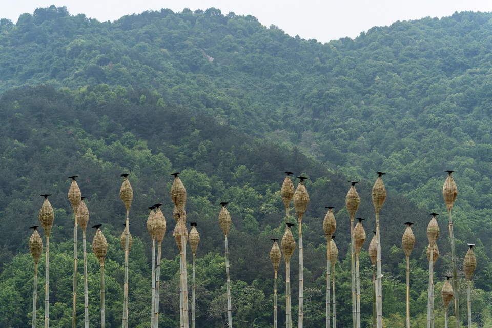 bamboo lamp art installation bamboo star china by haoshe space design