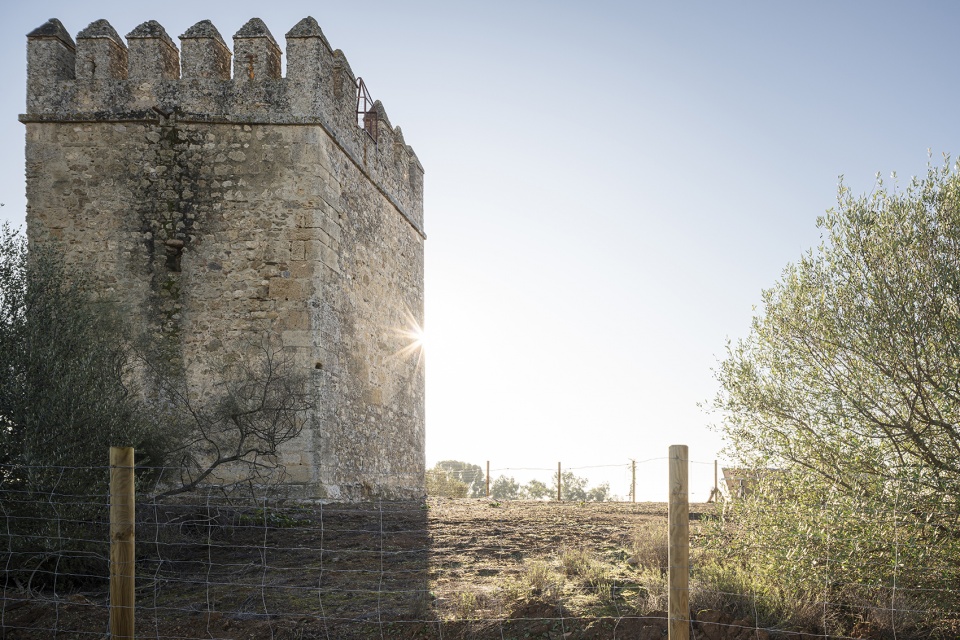 enhancement of the cordova watchtower by antonio raso alejandro b galan cesar egea
