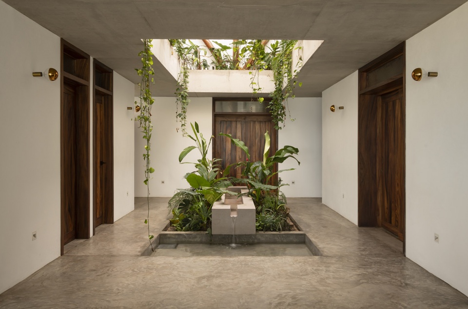 House Mirlo by Palma