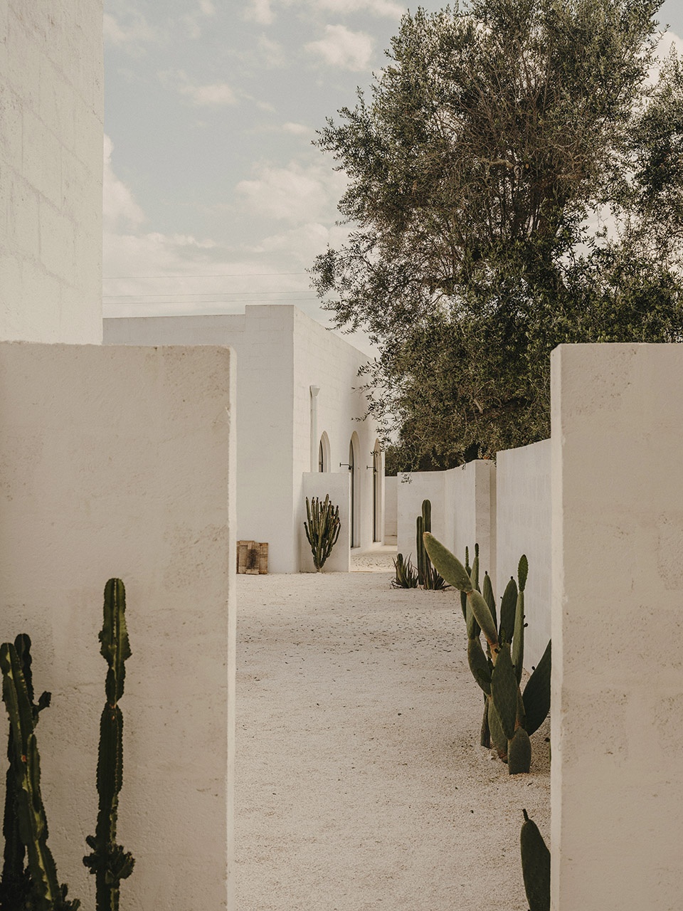 Borgo Gallana Studio Andrew Trotter
