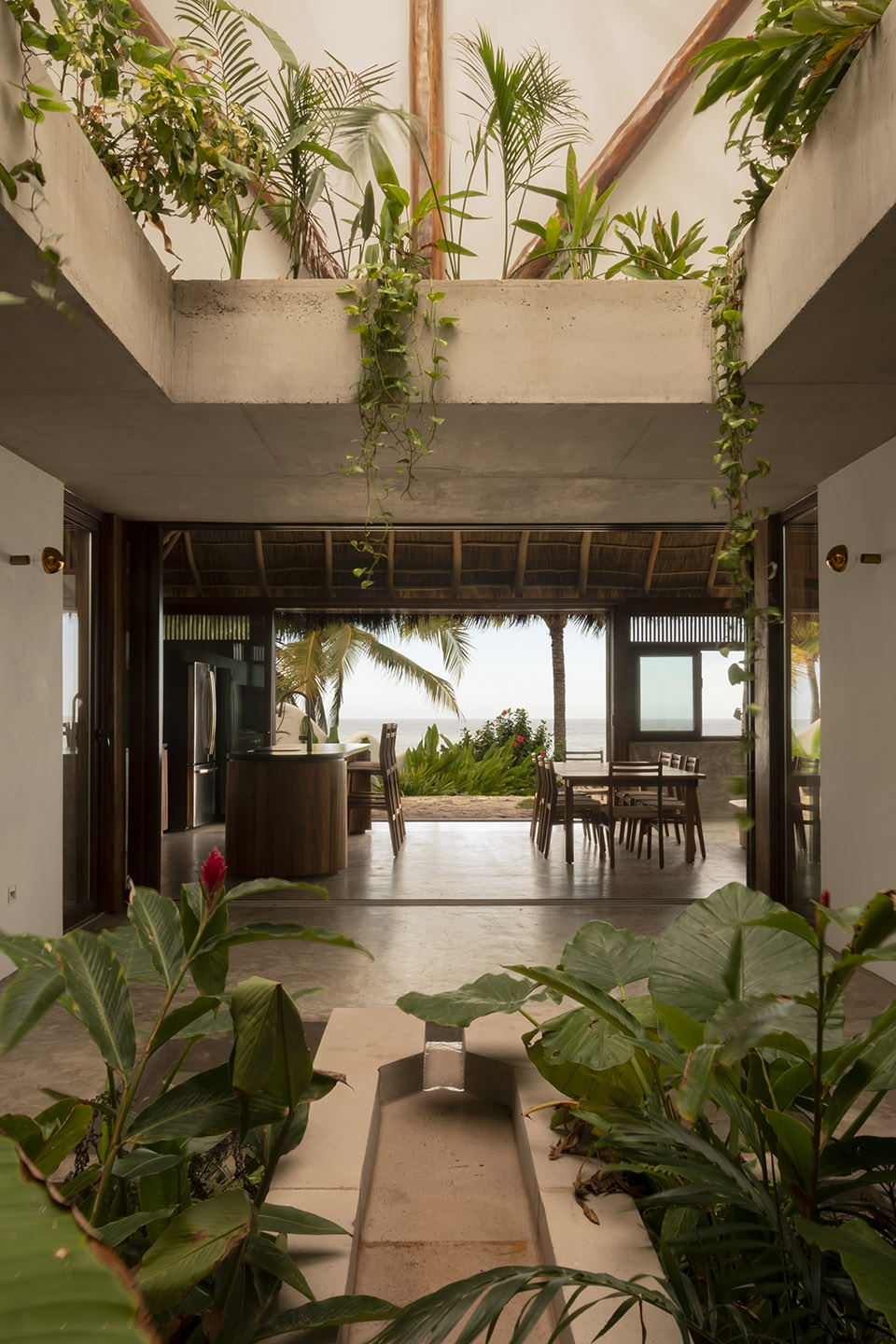 House Mirlo by Palma
