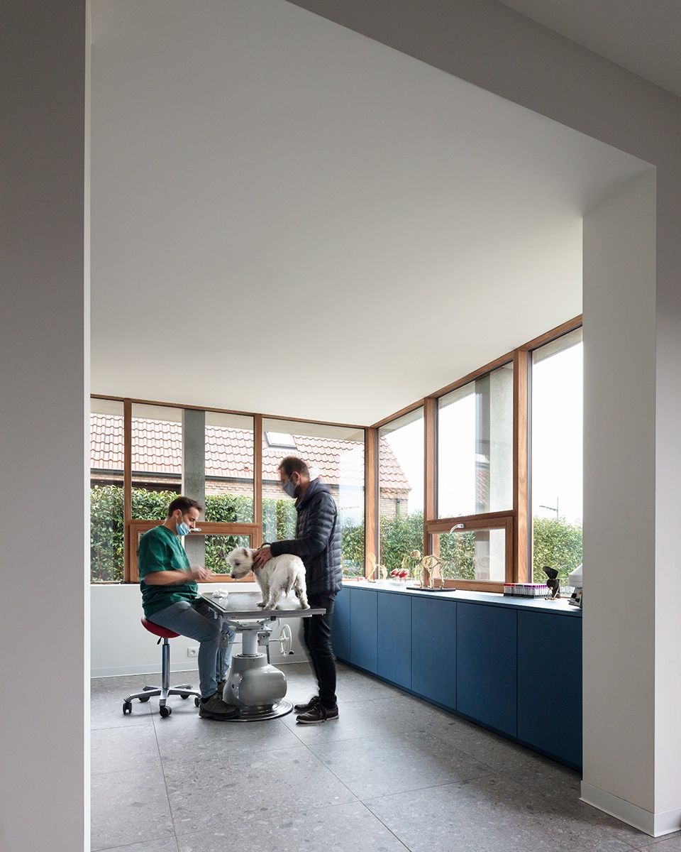 house and veterinary practice vd b by graux baeyens architecten